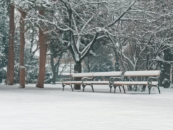Vitamine c : clé pour renforcer votre système immunitaire